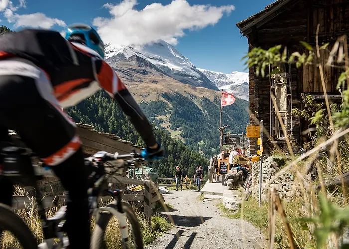 Apartment Butterfly *